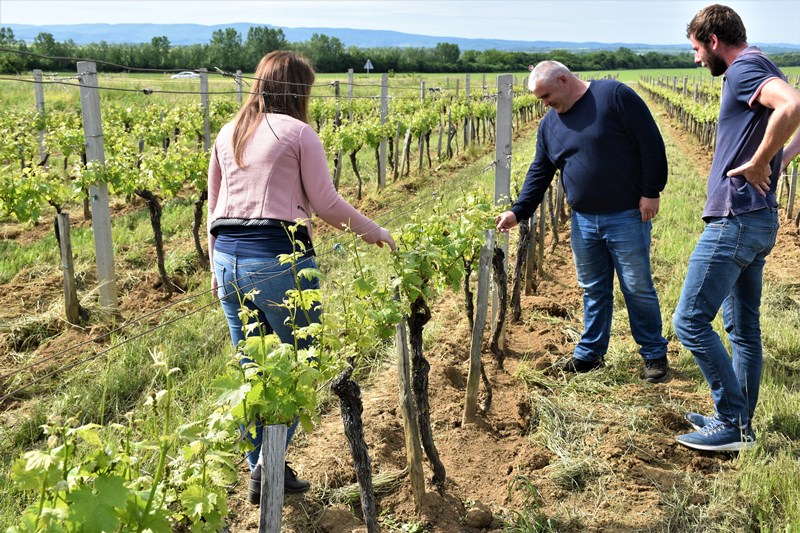 Kooperant Leopoldović Dalibor s agronomima vinarije KUTJEVO