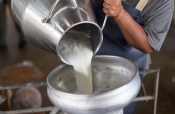 Donirano 30.000 litara mlijeka za potresom pogođena područja