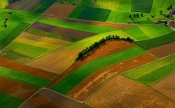 Prijedlog Zakona o komasaciji poljoprivrednog zemljišta