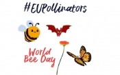 Danas 20. svibnja je Svjetski dan pčela