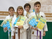 Uspješan vikend za Karate-do Požega