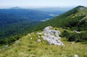Međunarodni dan planina: Sačuvajmo planinsku bioraznolikost