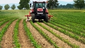 Za potpore u poljoprivredi grad Pakrac dodijelit će prvih 5 ugovora za poljoprivrednike