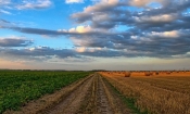Poljoprivredna proizvodnja rasla više od osam posto