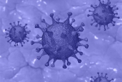 U posljednja 24 sata Hrvatska bilježi 186 novih slučajeva zaraze virusom uz 12 preminulih osoba od Covid 19