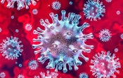 Hrvatska danas ima 3 novo oboljele osobe ili ukupno 2.258 zaraženih korona virusom