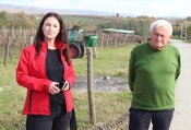 Testna primjena eko organskih gnojiva u vinogradima Ive Enjingija