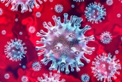 Hrvatska danas bilježi 2 novo oboljele ili ukupno  2.234 osoba koje su zaražene korona virusom