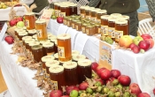 Proizvodi županijskih pčelara idu osnovcima za „Školski medni dan“