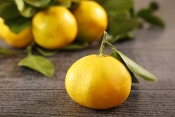 Neretvanske mandarine u SPAR i INTERSPAR trgovinama