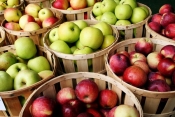 20. listopada obilježavamo Svjetski dan jabuka