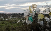 Danas je Međunarodni dan bez plastičnih vrećica