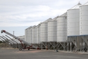 Natječaj za skladišne kapacitete za žitarice i uljarice vrijedan 150 milijuna kuna