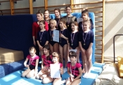 Gimnastičari Sokola osvojili četiri srebrne i jednu brončanu medalju