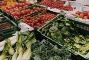 Ministarstvo poljoprivrede ulaže novih 988 milijuna kuna za jačanje proizvodno tržišnog lanca u sektoru voća i povrća
