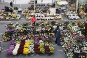 Od danas  28. listopada počinje prodaja cvijeća iza Gradske kuće grada Požega