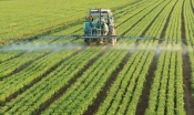 Pesticidi: poljoprivredni model kojeg građani Europske unije skupo plaćaju
