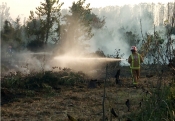 U požaru kod Pake izgorjelo 3 ha površina Hrvatskih šuma
