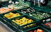 Uskoro natječaj za proizvođače povrća u plastenicima