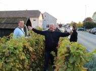 Pokazni vinograd pokazao bogatu ovogodišnju berbu s odličnim sladorima i kiselinama