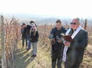 Šestu godinu za redom u vinogradima požeškog Veleučilišta studenti i profesori slave Vincelovo