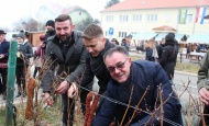 Na jedinstvenom Trgu graševine orezali lozu, zalili starom graševinom i zapalili vatru za pečenje vincelovskog ražnja
