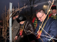 Uz popularnog Joleta, brojne delicije, vola na ražnju i kutjevačka vina Vincelovo slavili do jutra
