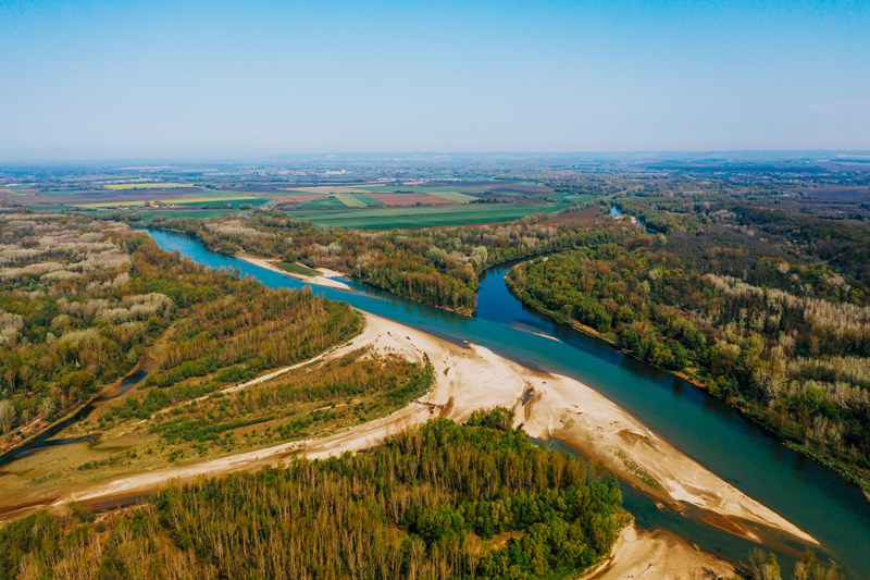 Ušće Mure u Dravu dio Europske Amazone Ante Gugić