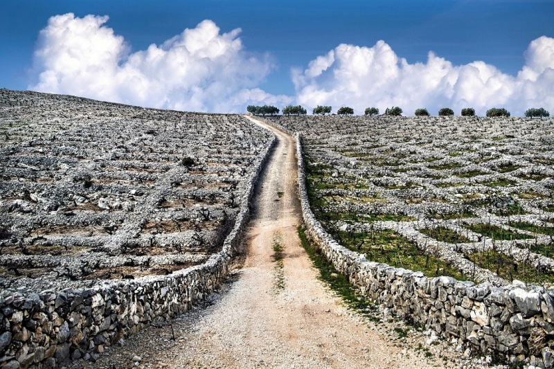 07 Prva nagrada Tomislav Veic Carstvo babica