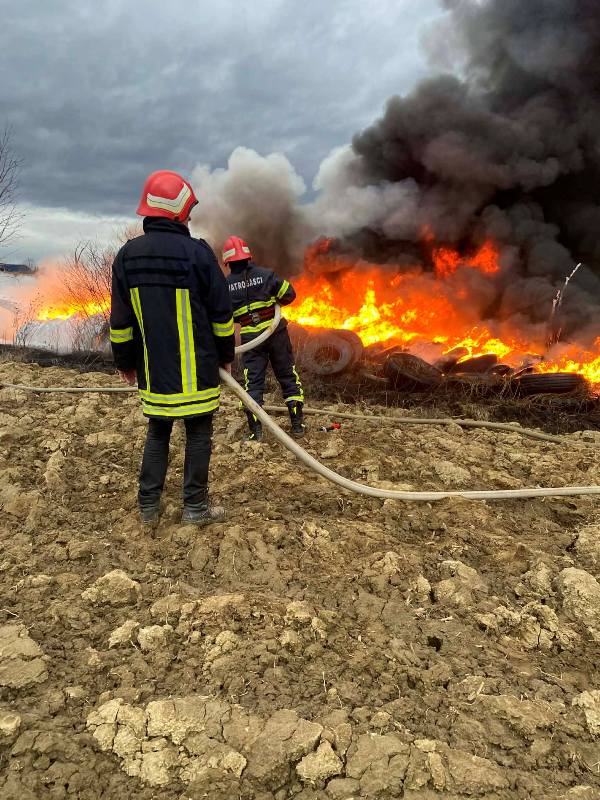 608559811 1216323927260578 2964999396890263958 n