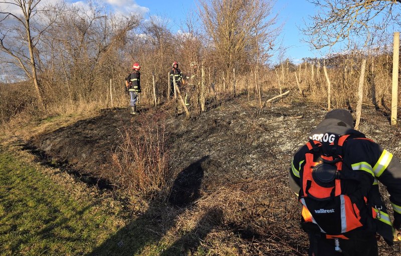 641677626 1258392526387051 3453998126506384082 n