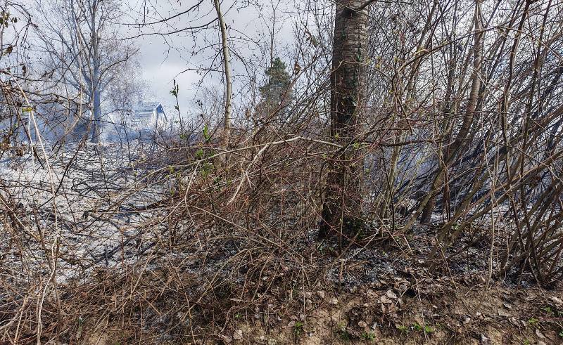 649548411 1340946824746366 3601432970551888265 n