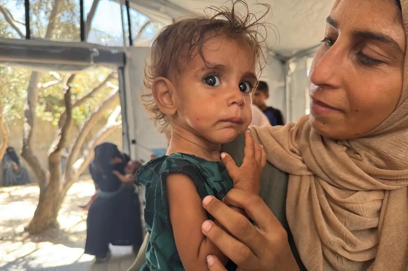 GGpX intext Photo EMG2026