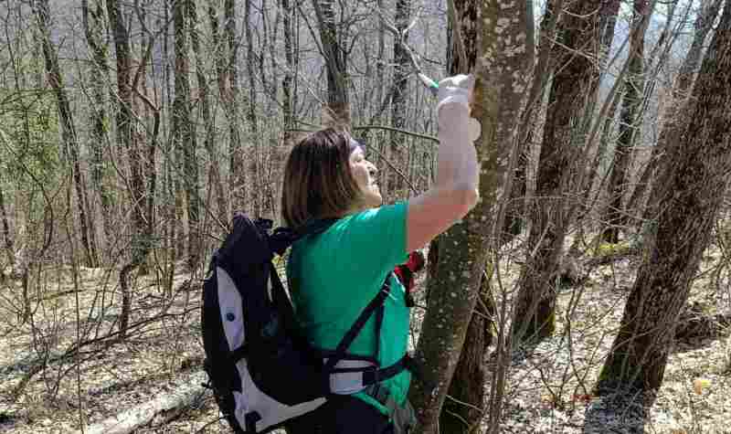 viber slika 2026 03 07 17 43 50 601