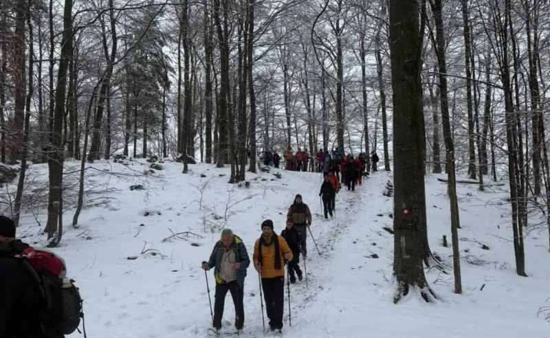 0 02 05 0af21f68b3af644ddde2135759083ccd8007cdd0496720f396f35226a88bb95f f866732172c43f39