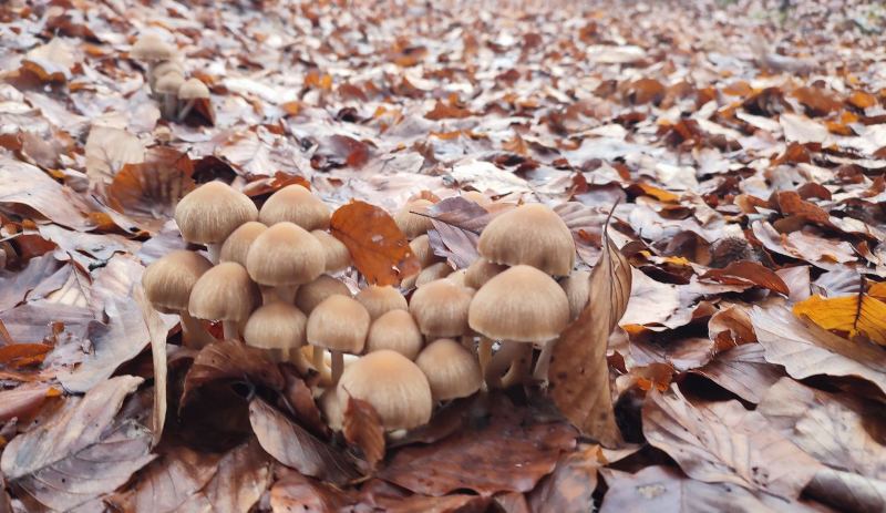 0 02 05 5ad1ef105050d9a3e2cdec6de7331dccb2b41666161a930a361071e1cc6b8366 cfecd44ea31a5c91