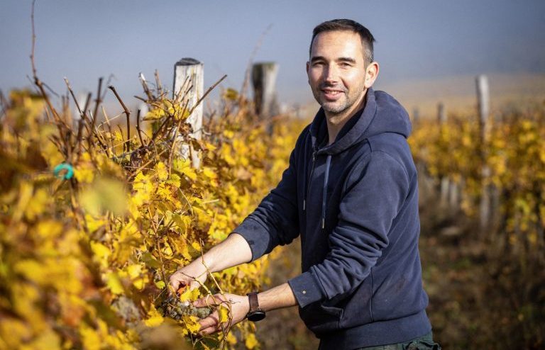 571347747 1267179858762388 8856828386040631405 n 768x512