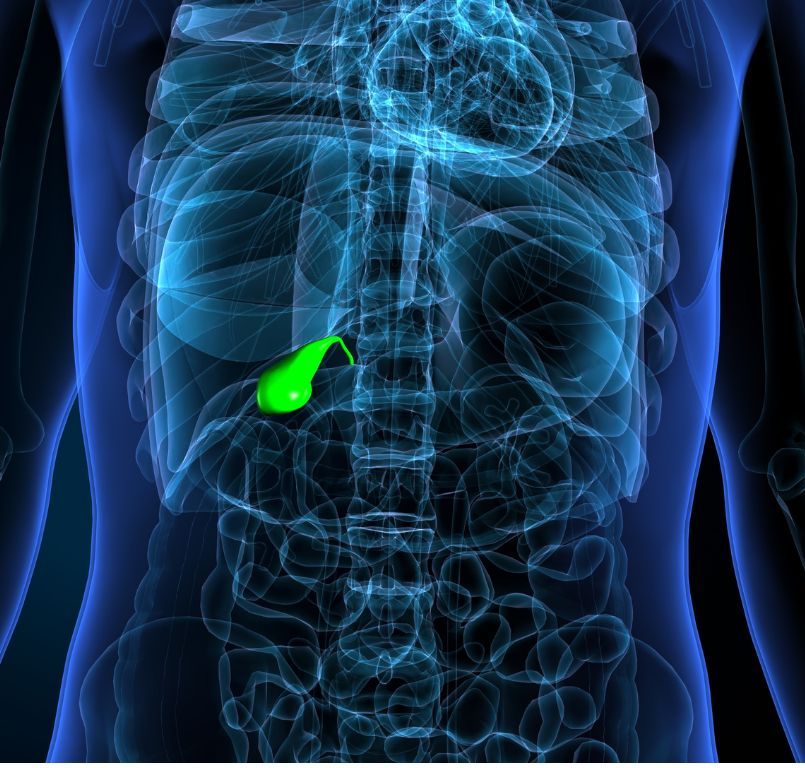 Zučna vrećica pod ultrazvukom abdomena