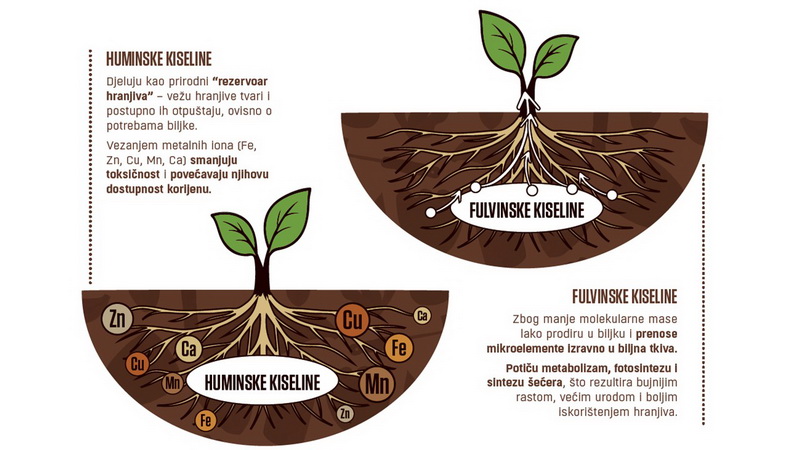 2026 02 Plantella Organik fulvinske huminske kiseline