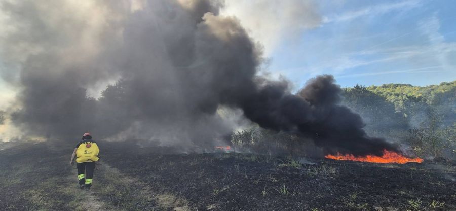 Požar iznad Daranovaca zahvatio nisko raslinje, livade i šumu
