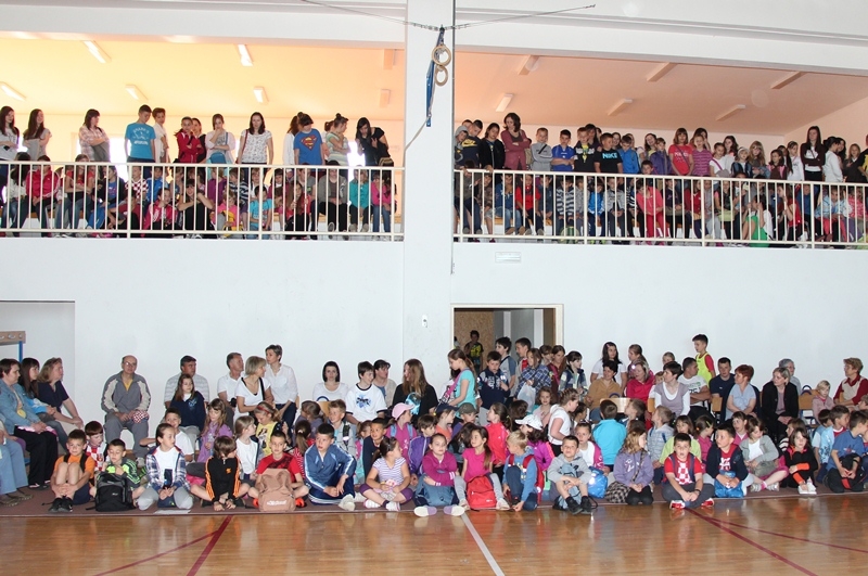 Demonstracija sportova u dvorani i na igralištima