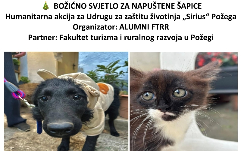 Humanitarna akcija Udruge Alumni za Udrugu za zaštitu životinja „Sirius“ Požega "Božićno svjetlo za napuštene šapice"