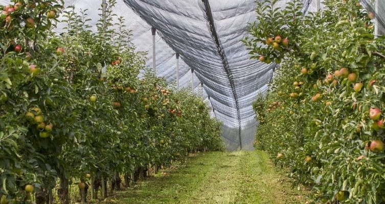 Objavljena tri natječaja iz Programa ruralnog razvoja