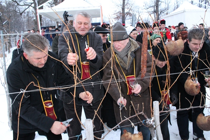 Od Vincelova Kutjevo d.d. u znaku 50-godišnjice