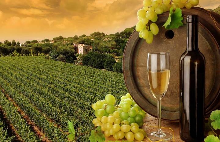 Održan sastanak s predstavnicima vinogradarskog i vinarskog sektora