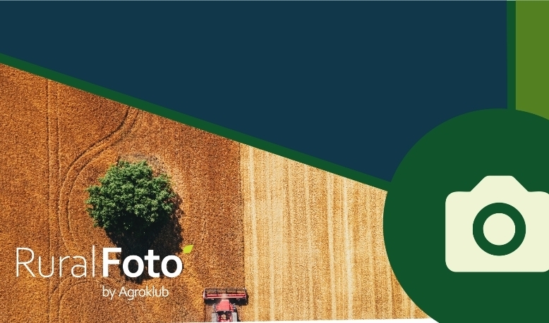 Otvoren izbor za najbolje ruralne fotografije u 2024. godini – nominirajte svoju