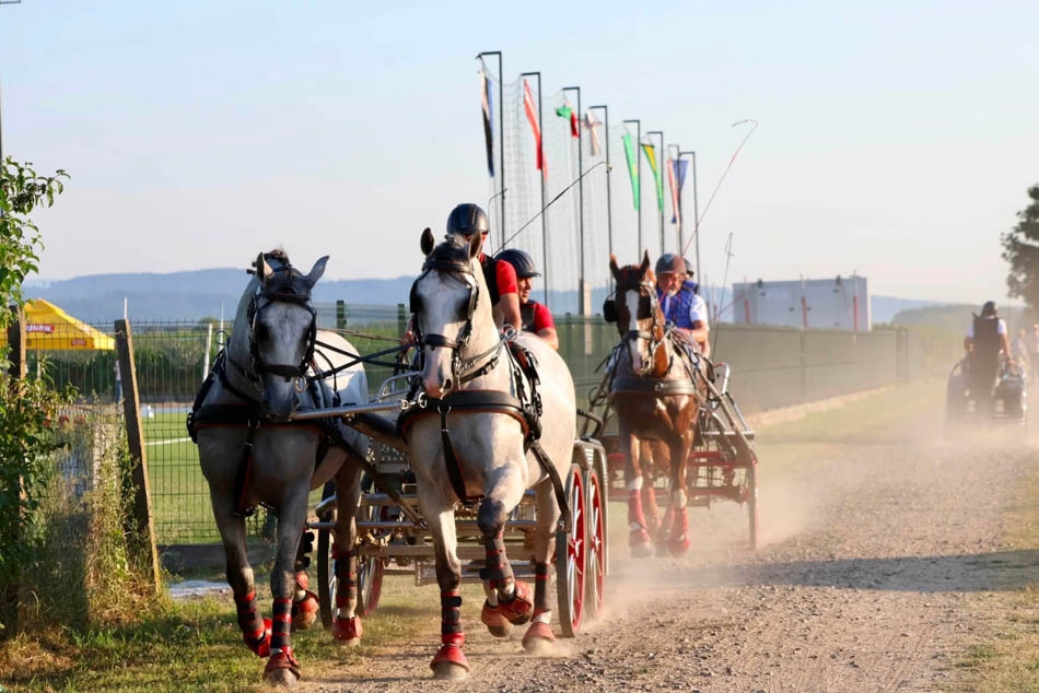 Pleternica ponovno u znaku vrhunskog konjičkog sporta i bogatog zabavnog programa