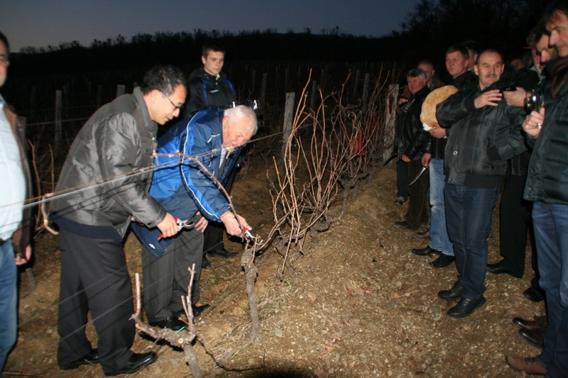 Počela je još jedna vinogradarska godina kod Ive Enjingija