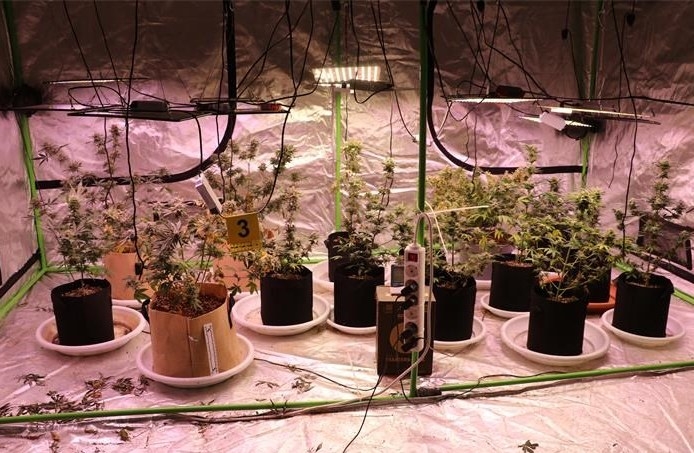 Pretragom kuća pronađen još jedan laboratorij u Velikoj kod 42-godišnjaka i 46-godišnjaka - zaplijenjena droga MDMA, cannabis marihuana i oprema