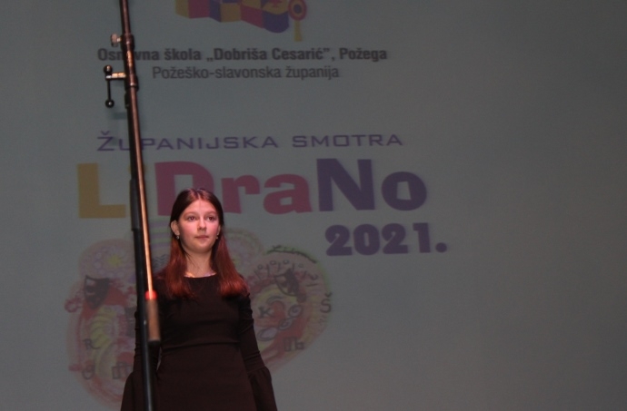 Proglašeni najuspješniji učenici i učenice Županijske razine LiDraNo 2021.